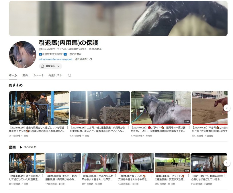 YouTube開設●開設1ヶ月半で登録4000名、感謝いたします。引退競走馬の行き先！Retouch馬